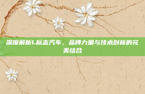 深度解析L标志汽车,品牌力量与技术创新的完美结合