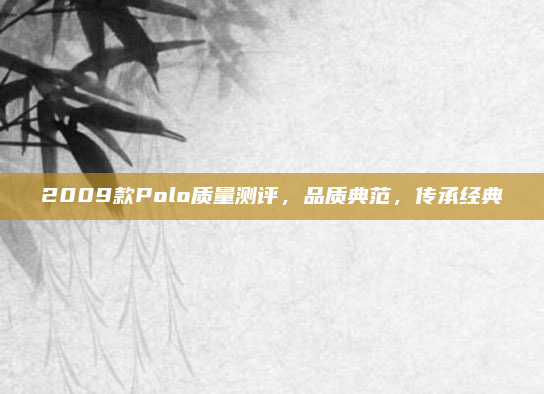2009款Polo质量测评,品质典范,传承经典