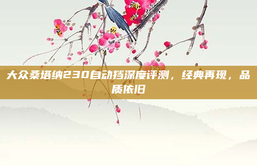 大众桑塔纳230自动挡深度评测,经典再现,品质依旧
