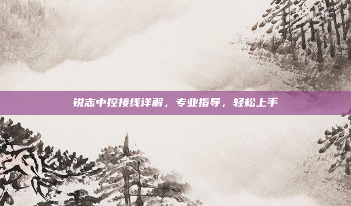 锐志中控接线详解,专业指导,轻松上手