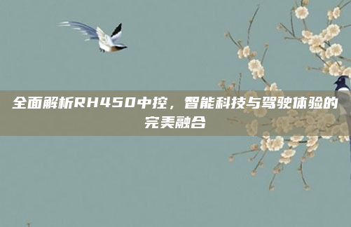 全面解析RH450中控,智能科技与驾驶体验的完美融合