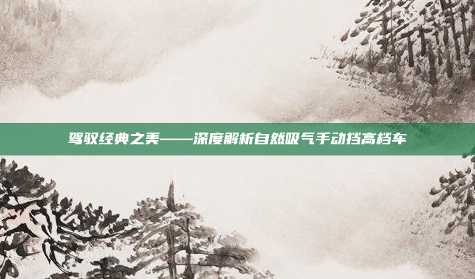 驾驭经典之美——深度解析自然吸气手动挡高档车