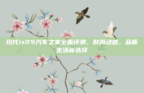 现代ix25汽车之家全面评测,时尚动感,品质生活新选择