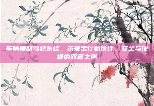车辆辅助驾驶系统,未来出行新伙伴,安全与便捷的双赢之道