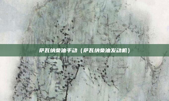 萨瓦纳柴油手动（萨瓦纳柴油发动机）