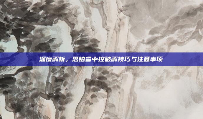 深度解析,思铂睿中控破解技巧与注意事项