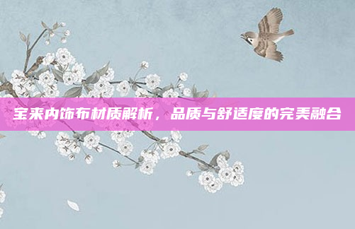 宝来内饰布材质解析,品质与舒适度的完美融合