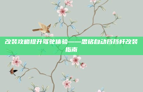 改装攻略提升驾驶体验——思铭自动挡挡杆改装指南