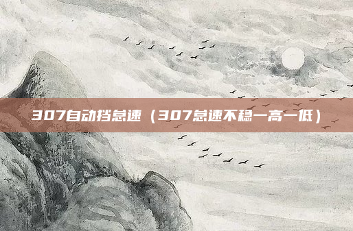 307自动挡怠速（307怠速不稳一高一低）