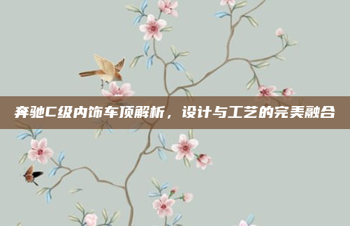 奔驰C级内饰车顶解析，设计与工艺的完美融合