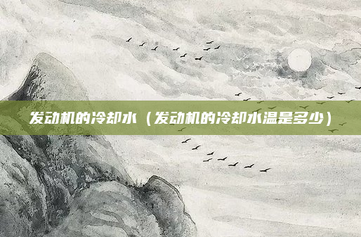 发动机的冷却水(发动机的冷却水温是多少)