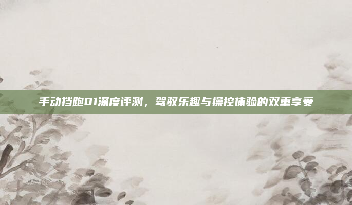 手动挡跑01深度评测,驾驭乐趣与操控体验的双重享受