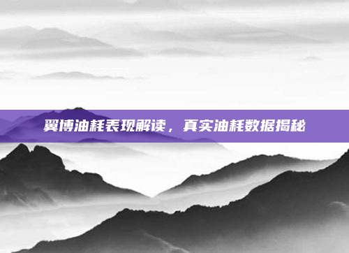 翼博油耗表现解读,真实油耗数据揭秘