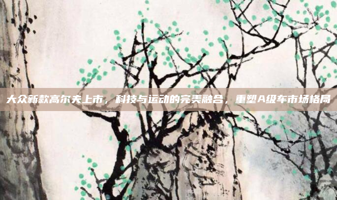 大众新款高尔夫上市，科技与运动的完美融合，重塑A级车市场格局