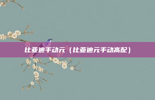 比亚迪手动元(比亚迪元手动高配)