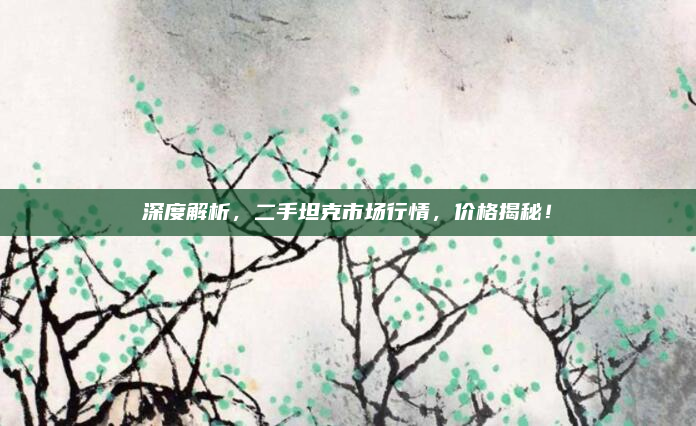 深度解析，二手坦克市场行情，价格揭秘！