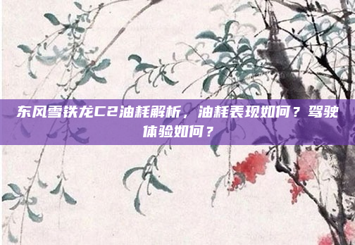 东风雪铁龙C2油耗解析,油耗表现如何?驾驶体验如何?