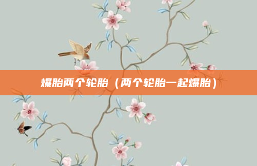 爆胎两个轮胎(两个轮胎一起爆胎)