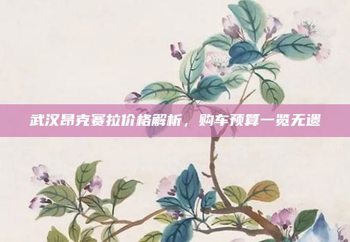 武汉昂克赛拉价格解析,购车预算一览无遗