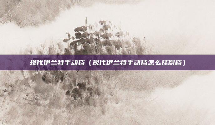 现代伊兰特手动挡(现代伊兰特手动挡怎么挂倒档)