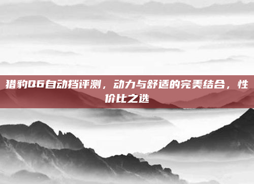猎豹Q6自动挡评测,动力与舒适的完美结合,性价比之选