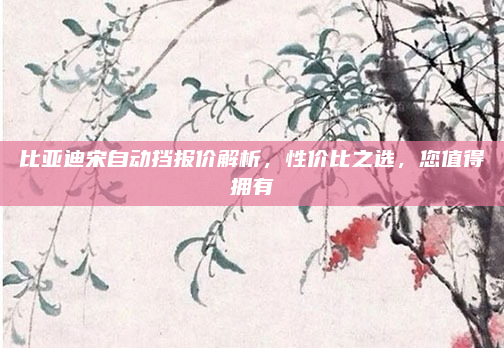 比亚迪宋自动挡报价解析，性价比之选，您值得拥有
