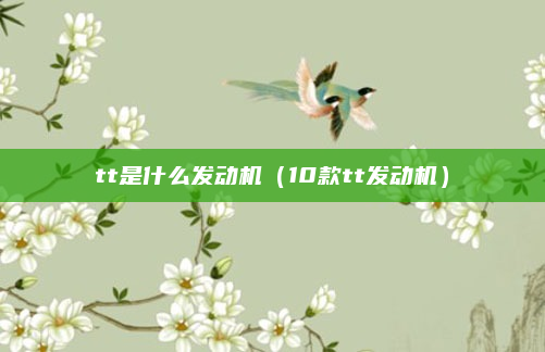 tt是什么发动机(10款tt发动机)