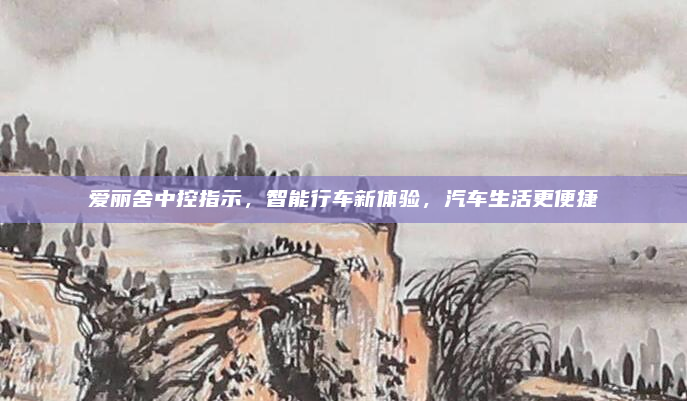 爱丽舍中控指示，智能行车新体验，汽车生活更便捷