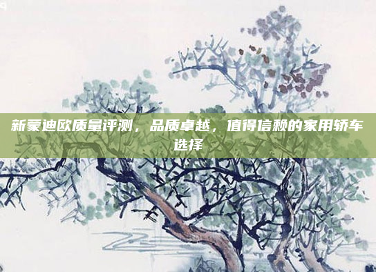新蒙迪欧质量评测,品质卓越,值得信赖的家用轿车选择