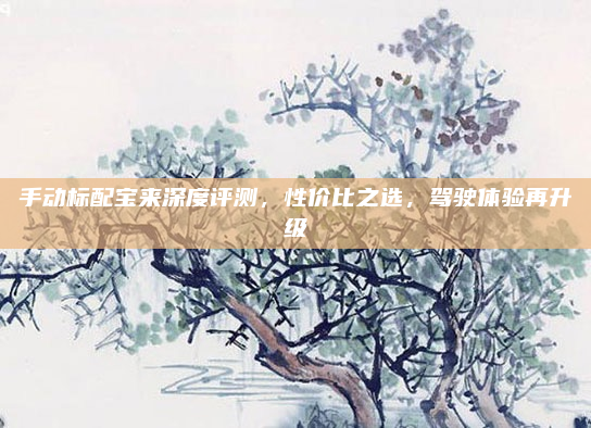 手动标配宝来深度评测，性价比之选，驾驶体验再升级