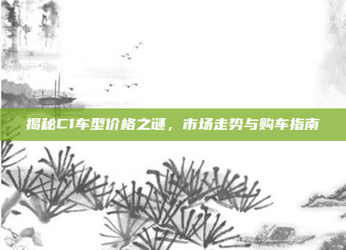 揭秘C1车型价格之谜,市场走势与购车指南