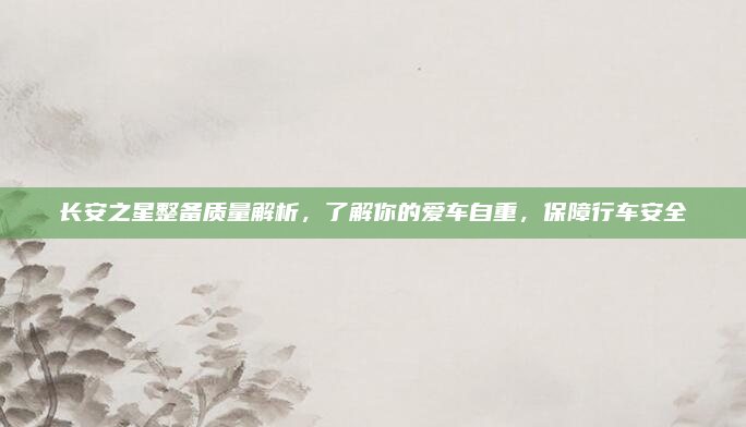 长安之星整备质量解析，了解你的爱车自重，保障行车安全