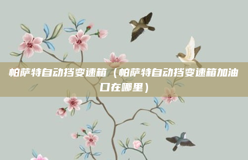 帕萨特自动挡变速箱(帕萨特自动挡变速箱加油口在哪里)
