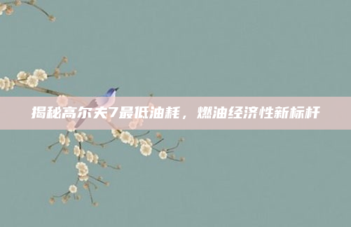 揭秘高尔夫7最低油耗，燃油经济性新标杆