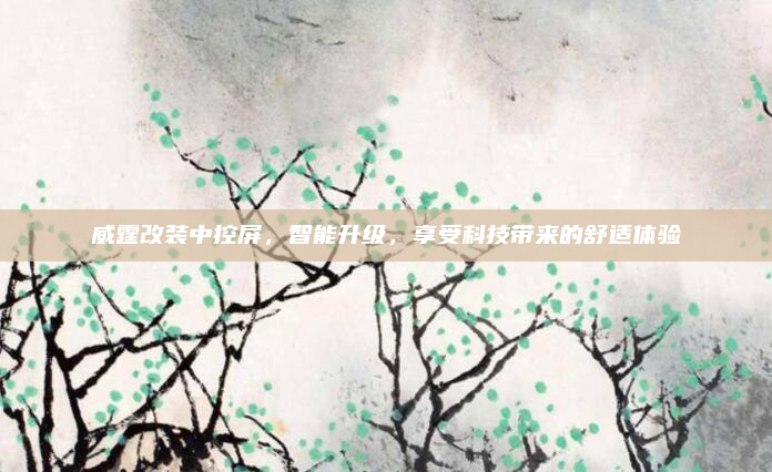 威霆改装中控屏,智能升级,享受科技带来的舒适体验