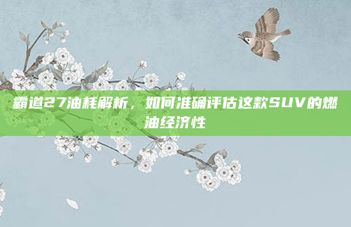 霸道27油耗解析，如何准确评估这款SUV的燃油经济性