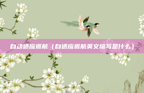 自动适应巡航(自适应巡航英文缩写是什么)