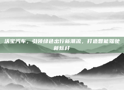 沃宝汽车,引领绿色出行新潮流,打造智能驾驶新标杆