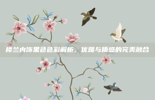 楼兰内饰黑色色彩解析,优雅与质感的完美融合