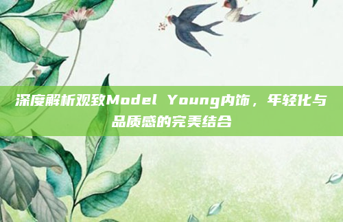 深度解析观致Model Young内饰，年轻化与品质感的完美结合