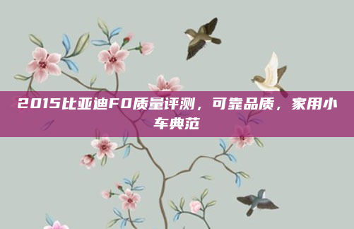 2015比亚迪F0质量评测,可靠品质,家用小车典范