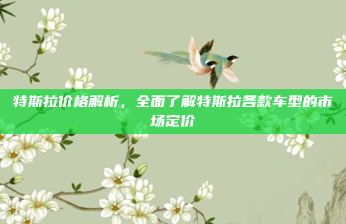 特斯拉价格解析,全面了解特斯拉各款车型的市场定价