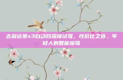 吉利远景x3自动挡深度试驾,性价比之选,年轻人的智能座驾