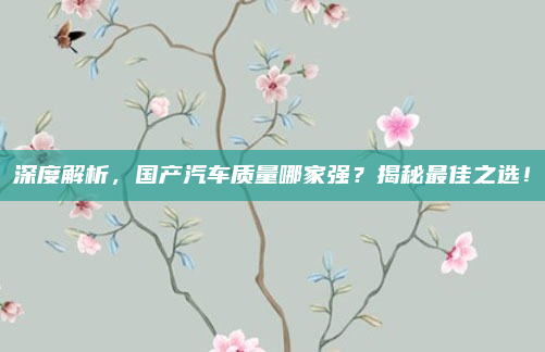 深度解析,国产汽车质量哪家强?揭秘最佳之选!