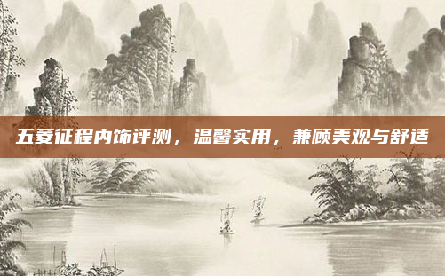 五菱征程内饰评测,温馨实用,兼顾美观与舒适