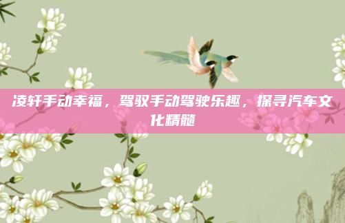 凌轩手动幸福，驾驭手动驾驶乐趣，探寻汽车文化精髓