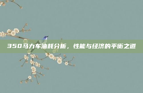 350马力车油耗分析，性能与经济的平衡之道