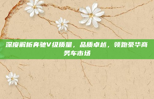 深度解析奔驰V级质量,品质卓越,领跑豪华商务车市场