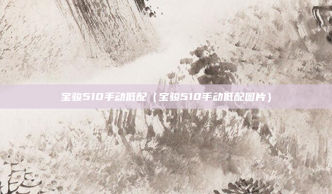 宝骏510手动低配（宝骏510手动低配图片）