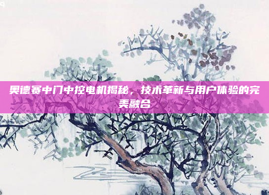 奥德赛中门中控电机揭秘，技术革新与用户体验的完美融合